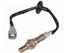 Oxygen Sensor O2 250-24107