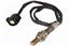 Oxygen Sensor O2 250-24123