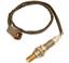 Oxygen Sensor O2 250-24130