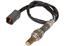 Oxygen Sensor O2 250-24131