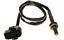 Oxygen Sensor O2 250-24147