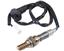 Oxygen Sensor O2 250-24188