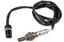 Oxygen Sensor O2 250-24198