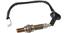 Oxygen Sensor O2 250-24203