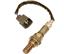 Oxygen Sensor O2 250-24220