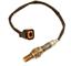 Oxygen Sensor O2 250-24228