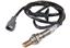 Oxygen Sensor O2 250-24244