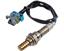 Oxygen Sensor O2 250-24248