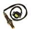 Oxygen Sensor O2 250-24251