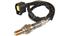 Oxygen Sensor O2 250-24252