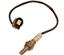 Oxygen Sensor O2 250-24253