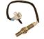 Oxygen Sensor O2 250-24269