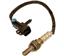 Oxygen Sensor O2 250-24273