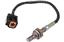 Oxygen Sensor O2 250-24280