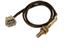 Oxygen Sensor O2 250-24284