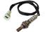 Oxygen Sensor O2 250-24291