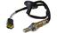 Oxygen Sensor O2 250-24293