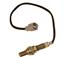 Oxygen Sensor O2 250-24305