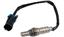 Oxygen Sensor O2 250-24324