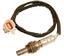 Oxygen Sensor O2 250-24333