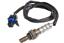 Oxygen Sensor O2 250-24354