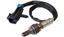 Oxygen Sensor O2 250-24355