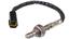 Oxygen Sensor O2 250-24357