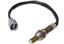 Oxygen Sensor O2 250-24360