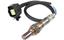 Oxygen Sensor O2 250-24366