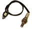 Oxygen Sensor O2 250-24369