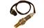 Oxygen Sensor O2 250-24412