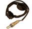 Oxygen Sensor O2 250-24430