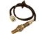 Oxygen Sensor O2 250-24442