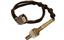 Oxygen Sensor O2 250-24446