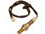 Oxygen Sensor O2 250-24486