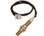 Oxygen Sensor O2 250-24488