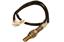 Oxygen Sensor O2 250-24546