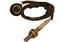 Oxygen Sensor O2 250-24613