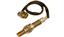 Oxygen Sensor O2 250-24628