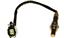 Oxygen Sensor O2 250-24629