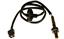 Oxygen Sensor O2 250-24636