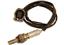 Oxygen Sensor O2 250-24661