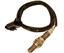 Oxygen Sensor O2 250-24669