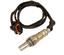 Oxygen Sensor O2 250-24682