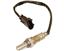 Oxygen Sensor O2 250-24690