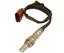 Oxygen Sensor O2 250-24692