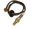 Oxygen Sensor O2 250-24709