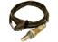 Oxygen Sensor O2 250-24726