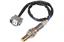 Oxygen Sensor O2 250-24730