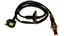 Oxygen Sensor O2 250-24751